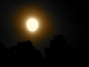 SALUTO ALLA PRIMA LUNA D’ESTATE……GRANDE EMOZIONE::QUI LE FOTO