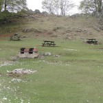 DSC00939