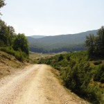 DSC02182