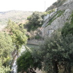 DSC06265