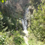 DSC06271