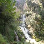 DSC06273
