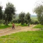 DSC06523