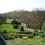 800px-Villa_Doria_Pamphili_panorama[1]