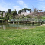 800px-Villa_Doria_Pamphili_stagno[1]