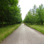 DSC06620