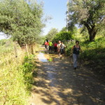 DSC06625