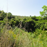 DSC06642