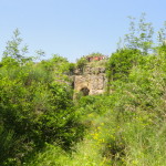 DSC06643