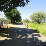 DSC06645