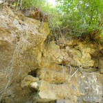 DSC06647