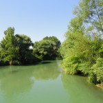 DSC06695