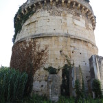 DSC06698