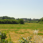 DSC06724