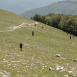 DSC06856
