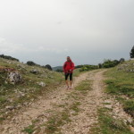 DSC06910