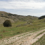 DSC08178