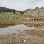 DSC08186