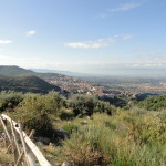 DSC08377