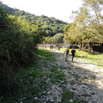 DSC08378