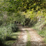 DSC08465