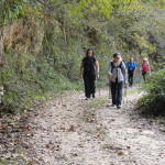 DSC08466