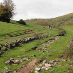 DSC08471