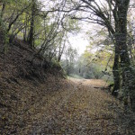 DSC08475