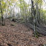 DSC08478