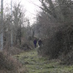 DSC08560