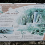 DSC08561