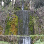 DSC08564