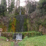 DSC08566