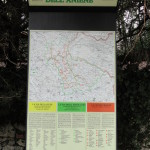 DSC08596
