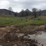 20140421_114855