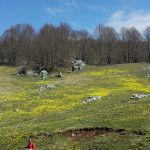 20140421_115516