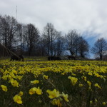 20140421_120707