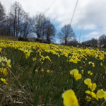 20140421_120714