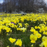 20140421_120719