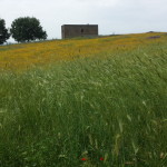 20140525_111737