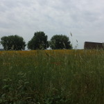 20140525_111754