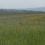 20140525_111919