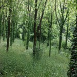 20140525_120809