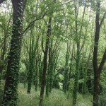 20140525_120826