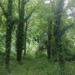 20140525_120900