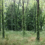 20140525_120934
