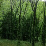 20140525_120938